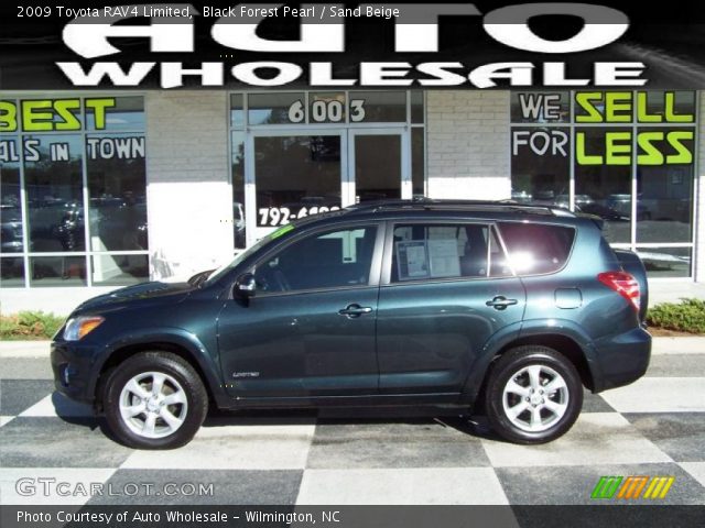 2009 Toyota RAV4 Limited in Black Forest Pearl