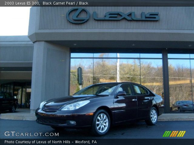 2003 Lexus ES 300 in Black Garnet Pearl