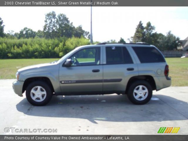 2003 Chevrolet TrailBlazer LS in Silver Green Metallic
