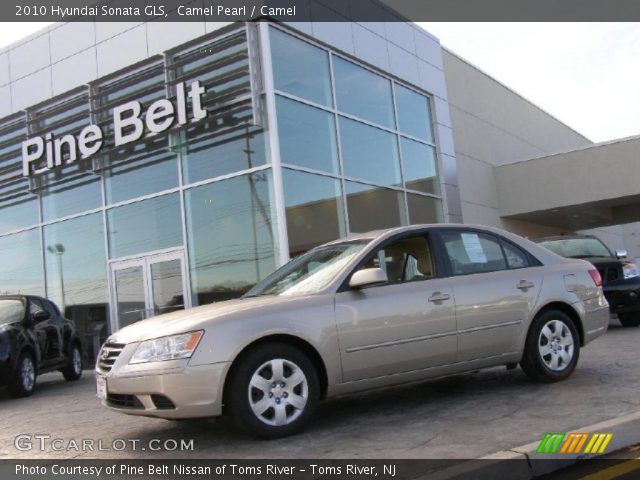 2010 Hyundai Sonata GLS in Camel Pearl