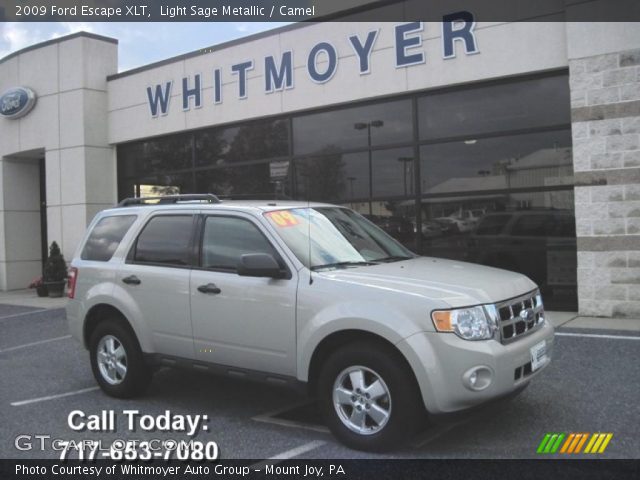2009 Ford Escape XLT in Light Sage Metallic