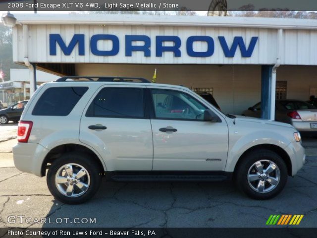 2008 Ford Escape XLT V6 4WD in Light Sage Metallic