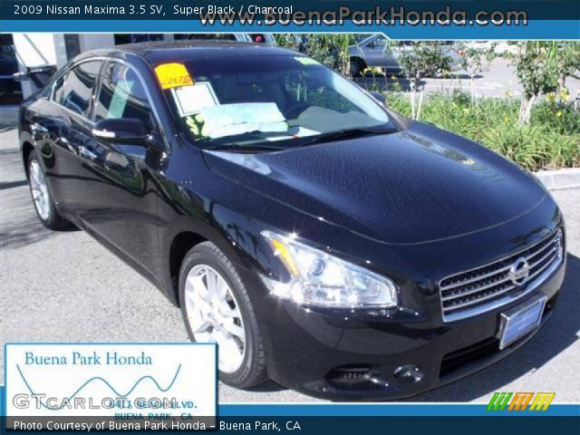 2009 Nissan Maxima 3.5 SV in Super Black