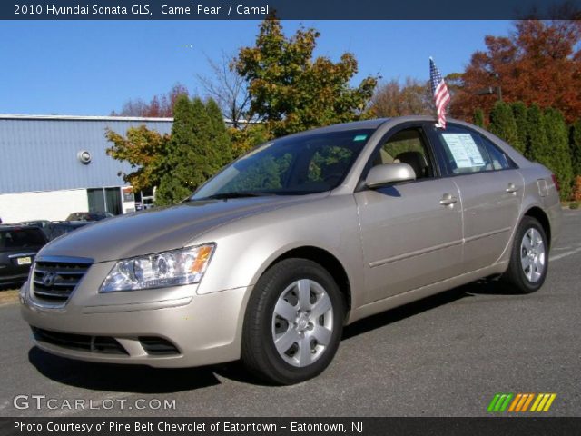 2010 Hyundai Sonata GLS in Camel Pearl
