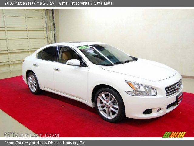 2009 Nissan Maxima 3.5 SV in Winter Frost White