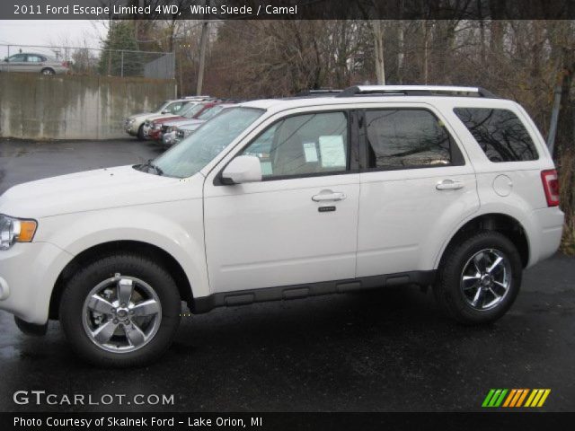 2011 Ford Escape Limited 4WD in White Suede