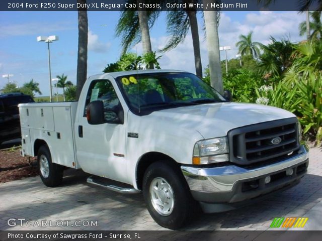 2004 Ford F250 Super Duty XL Regular Cab Chassis in Oxford White