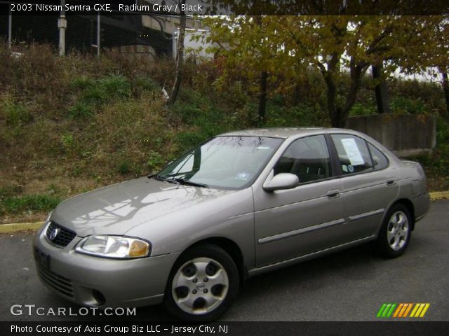 2003 Nissan Sentra GXE in Radium Gray