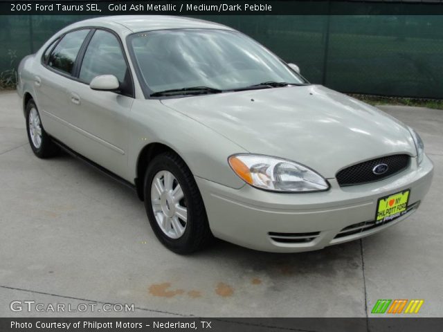2005 Ford Taurus SEL in Gold Ash Metallic