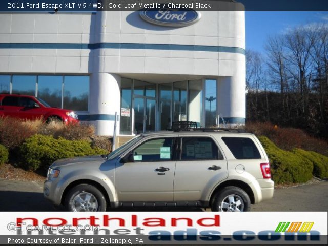 2011 Ford Escape XLT V6 4WD in Gold Leaf Metallic