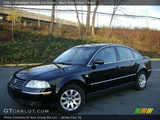 2001 Volkswagen Passat GLS Sedan in Black Magic Pearl