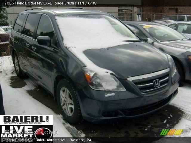 2006 Honda Odyssey EX-L in Sage Brush Pearl