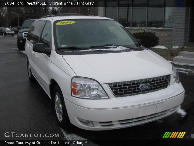 2004 Ford Freestar SEL in Vibrant White