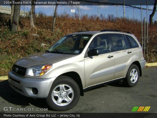 2004 Toyota RAV4  in Savannah Beige Metallic