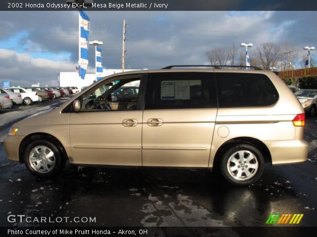 2002 Honda Odyssey EX-L in Mesa Beige Metallic