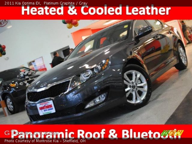 2011 Kia Optima EX in Platinum Graphite
