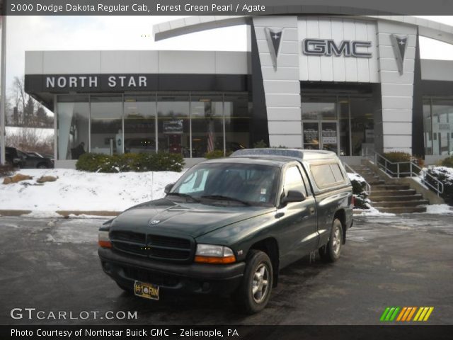 2000 Dodge Dakota Regular Cab in Forest Green Pearl