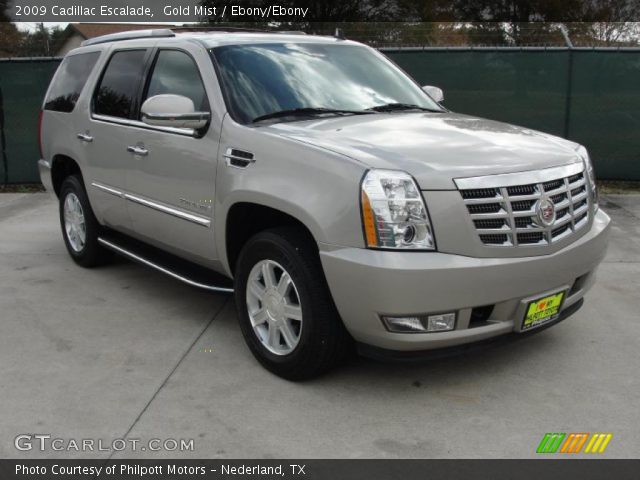 2009 Cadillac Escalade  in Gold Mist