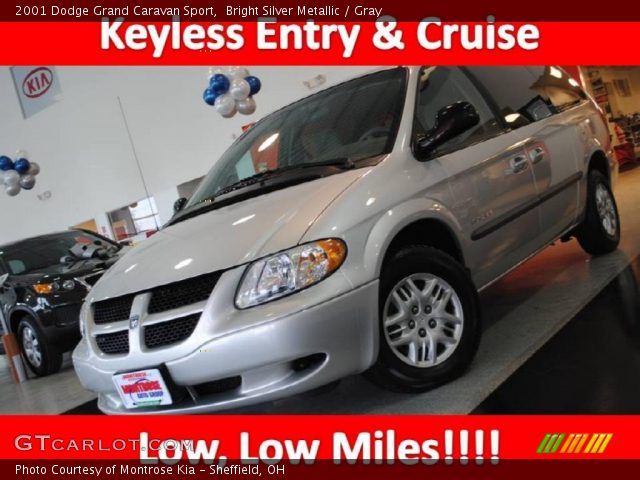 2001 Dodge Grand Caravan Sport in Bright Silver Metallic