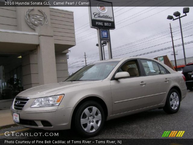 2010 Hyundai Sonata GLS in Camel Pearl