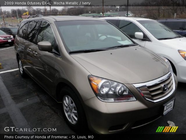 2009 Honda Odyssey EX-L in Mocha Metallic