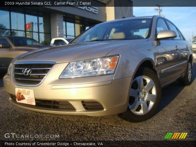 2009 Hyundai Sonata GLS in Camel Pearl