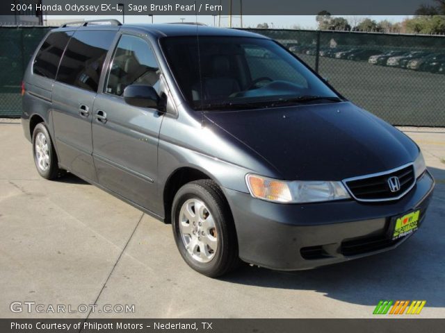 Sage brush pearl honda odyssey #3