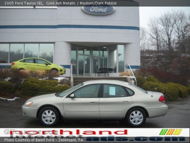 2005 Ford Taurus SEL in Gold Ash Metallic