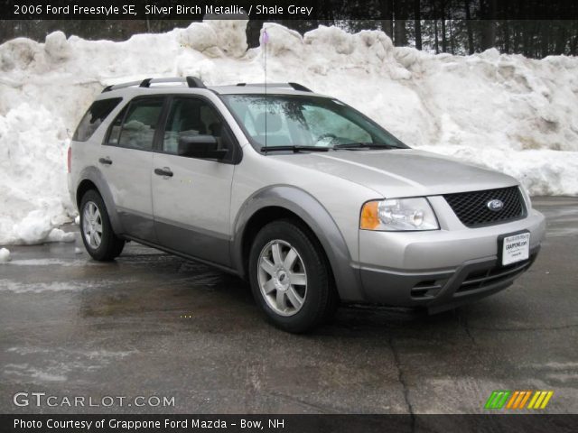 2006 Ford Freestyle SE in Silver Birch Metallic