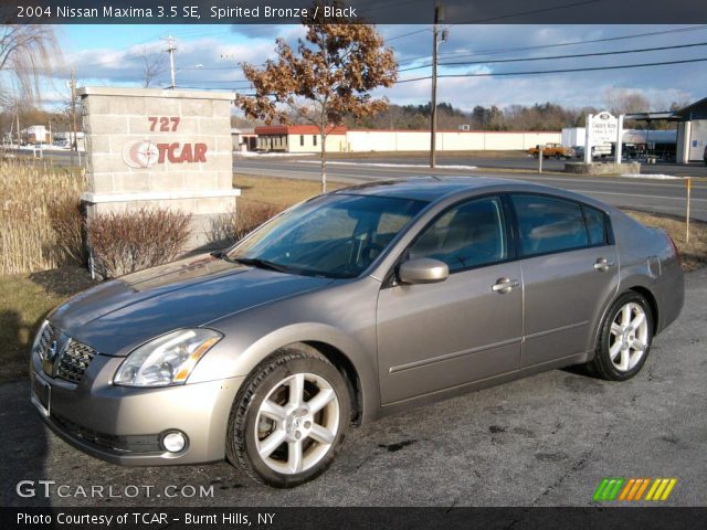 2004 Nissan Maxima 3.5 SE in Spirited Bronze