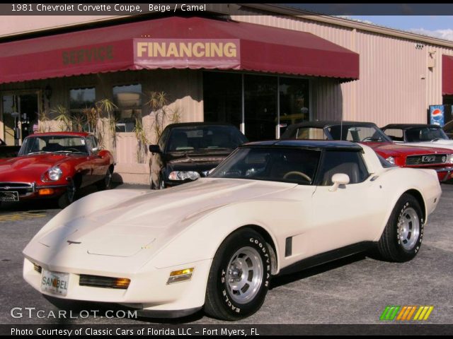 1981 Chevrolet Corvette Coupe in Beige
