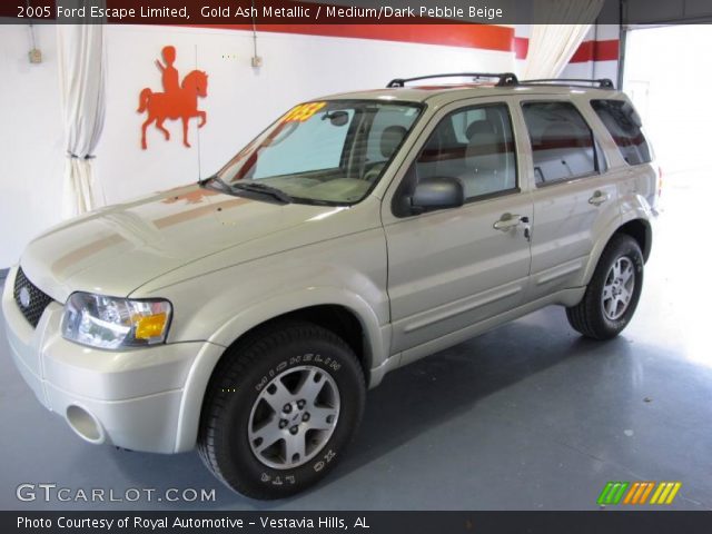 2005 Ford Escape Limited in Gold Ash Metallic
