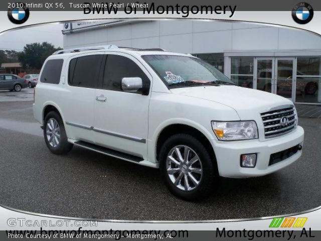 2010 Infiniti QX 56 in Tuscan White Pearl