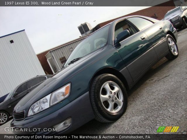 1997 Lexus ES 300 in Wood Land Green Pearl