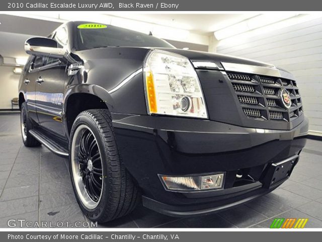 2010 Cadillac Escalade Luxury AWD in Black Raven