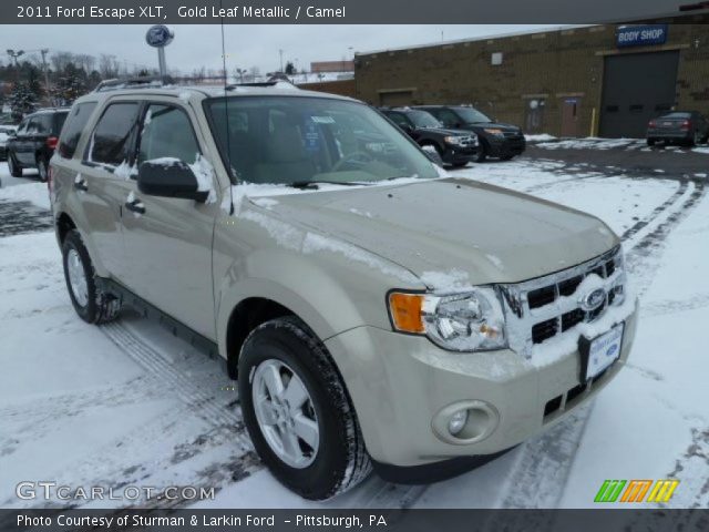 2011 Ford Escape XLT in Gold Leaf Metallic