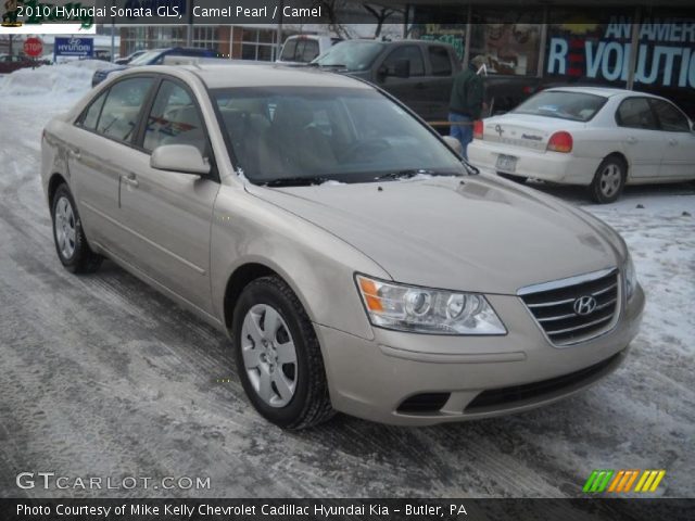 2010 Hyundai Sonata GLS in Camel Pearl