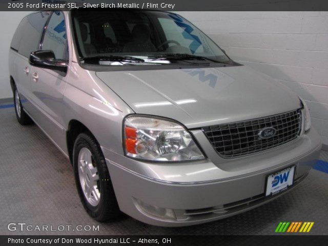 2005 Ford Freestar SEL in Silver Birch Metallic