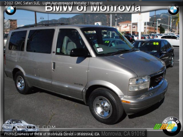 2002 GMC Safari SLE in Light Autumnwood Metallic
