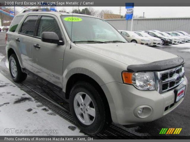 2008 Ford Escape XLT in Light Sage Metallic