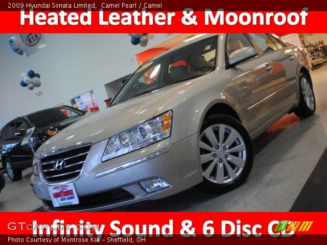 2009 Hyundai Sonata Limited in Camel Pearl