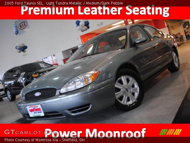 2005 Ford Taurus SEL in Light Tundra Metallic