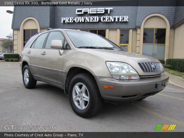 2002 Lexus RX 300 in Burnished Gold Metallic