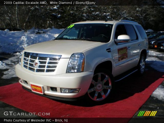 2009 Cadillac Escalade AWD in White Diamond