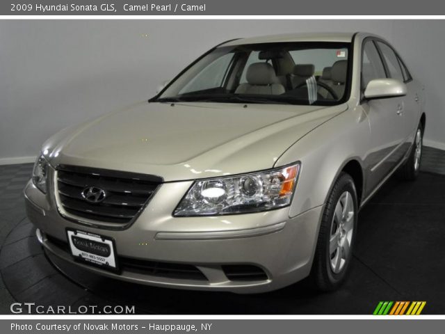 2009 Hyundai Sonata GLS in Camel Pearl