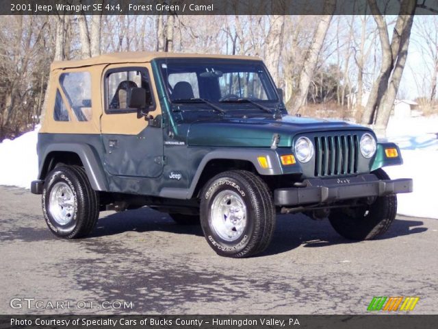 2001 Jeep Wrangler SE 4x4 in Forest Green