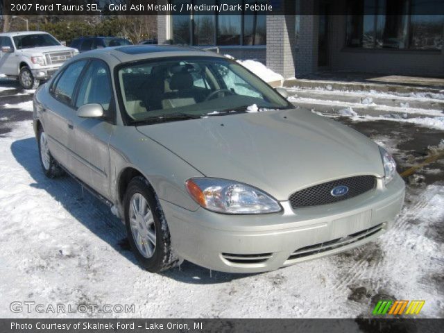 2007 Ford Taurus SEL in Gold Ash Metallic