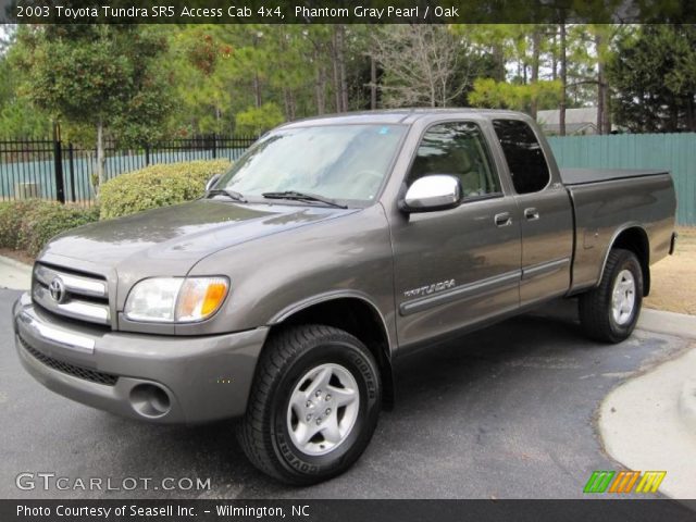 2003 Toyota Tundra SR5 Access Cab 4x4 in Phantom Gray Pearl