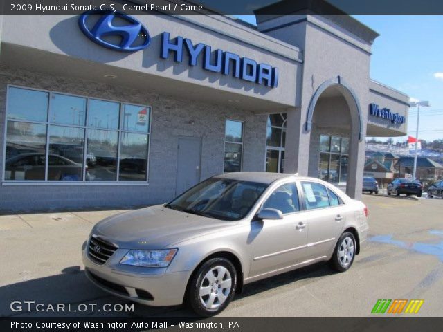 2009 Hyundai Sonata GLS in Camel Pearl