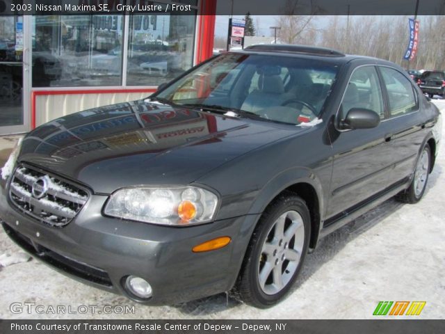 2003 Nissan Maxima SE in Gray Lustre